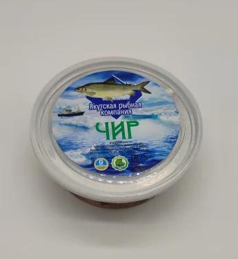 silver carp fillet,China Oriental Regent price supplier - 21food