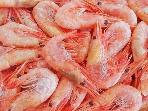 Northern shrimp w/m 80/100(box 5kg)