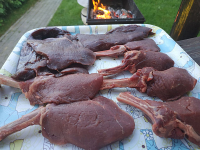 Превью Reindeer loin steak on the bone (tomahawk)