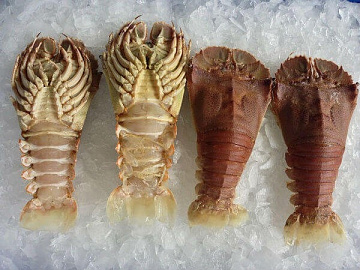 Фото Fresh frozen sand lobster