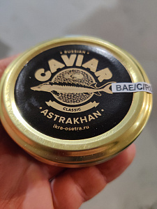 Превью Sturgeon caviar Exclusive  (Caspian delicacies) 50 g