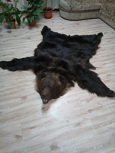 Превью Bear skin carpet