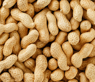 Unpeeled peanuts (150 g)