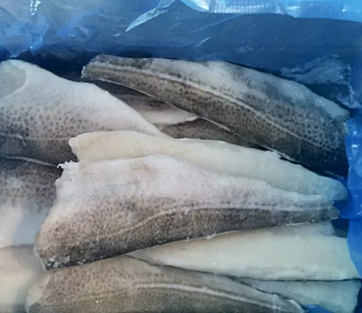 Cod fillet with skin (box 10kg)