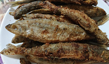 Preview Frozen vendace, not gutted