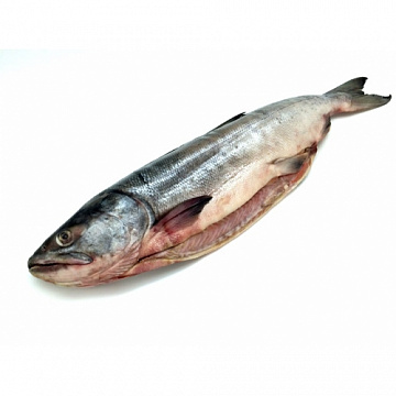 Фото Pacific chum salmon, gutted with head (20kg bags)