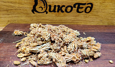 Preview Dried pine buds