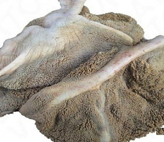 Reindeer stomach (unpeeled)