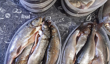 Preview Salted-frozen grayling