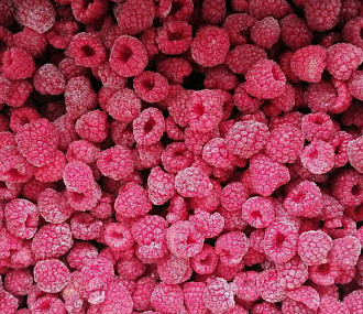Quick-frozen raspberries forest 9 kg