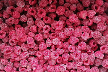 Фото Quick-frozen raspberries forest 9 kg