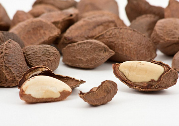 Фото Brazil nuts in shell (1 kg)