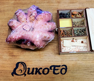 Octopus 0.8-1 kg