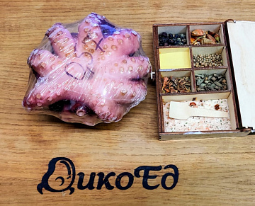 Фото Octopus 0.8-1 kg