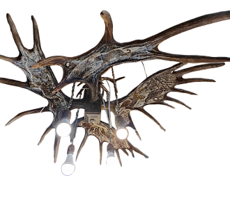 Chandelier with moose horns with drawings