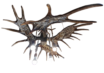 Фото Chandelier with moose horns with drawings