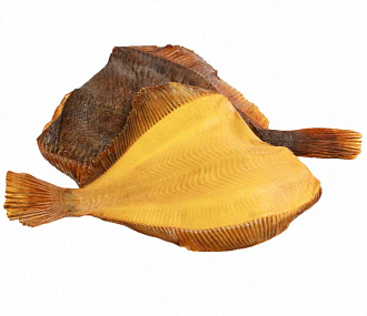 Yellow - bellied flounder PBG 