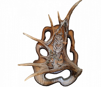 Elk horn with lynx