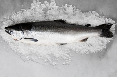 Превью Pink salmon, fresh-frozen, not gutted 0.8-1.8 kg