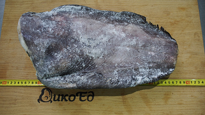 Превью Pacific blueberry halibut (3-5 kg) gutted without a head