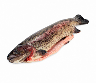  Fresh frozen rainbow trout PSG 2,0+ kg