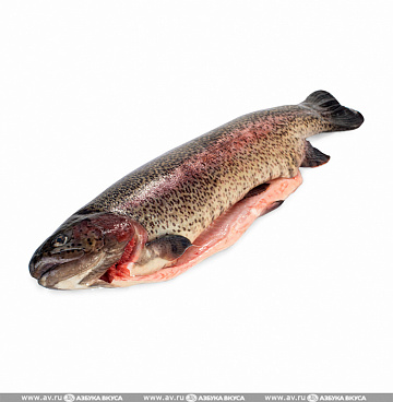Фото  Fresh frozen rainbow trout PSG 2,0+ kg