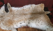 Preview Lynx carpet 140 cm with claw