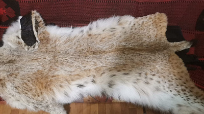 Превью Lynx carpet 140 cm with claw