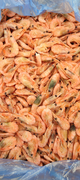 Фото Northern shrimp w/m 250+(box 5kg)