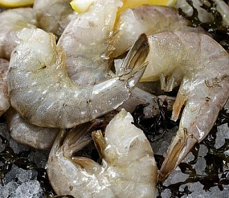 Royal shrimp Vannamei b/g in shell without vein 26/30 (raw frozen)
