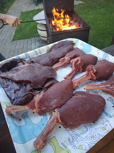 Превью Reindeer loin steak on the bone (tomahawk)