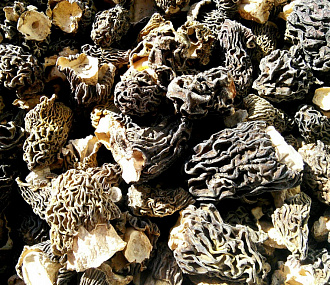 Dried morel mushrooms