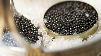 Превью Milk sterlet caviar (iron can) 125 g