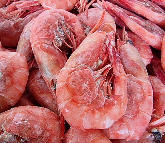 Northern shrimp v/m n/r MAGADANSKAYA 70/90 (5 kg box)