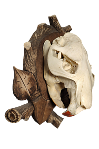 Превью Beaver skull on medallion