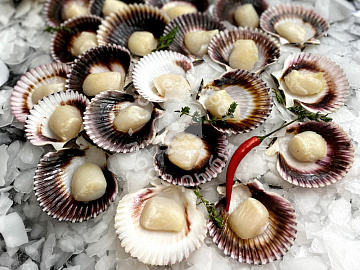 Фото Wild sea scallop on half shell with caviar 10/13