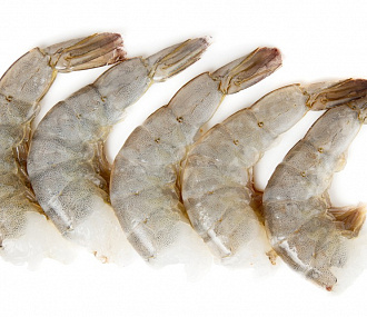 Black Tiger Shrimp Headless (13-15)