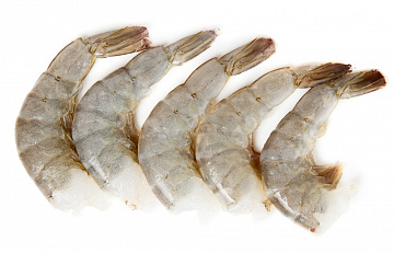 Фото Black Tiger Shrimp Headless (13-15)