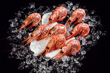 Фото Northern shrimp w/m 70/90 (box 5kg)