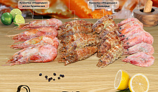 Preview Primorye shrimp large