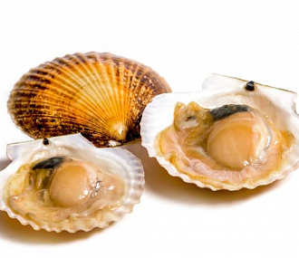 Wild sea scallop on half shell with caviar 9/13