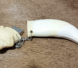 Bear's Fang - a flash drive with a head made of moose horn