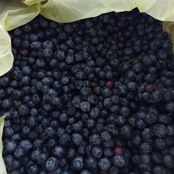 Фото Frozen wild blueberries in a 10 kg box