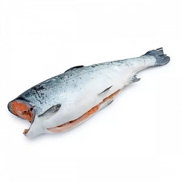 Фото Frozen gutted coho salmon without head 0.4-1.3 kg