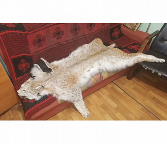 Lynx carpet 140 cm with claw