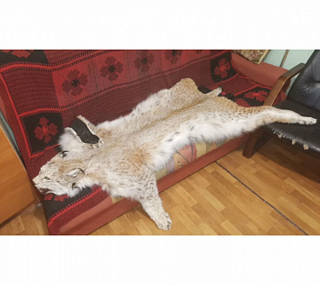 Фото Lynx carpet 140 cm with claw