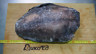 Превью Pacific blueberry halibut (1.5-3 kg) gutted without a head