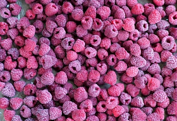 Фото Quick-frozen raspberries forest 5 kg