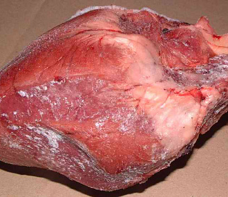 Wild boar heart