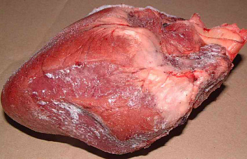 Фото Wild boar heart